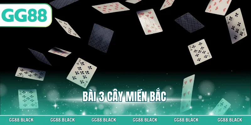 Bài 3 Cây Miền Bắc